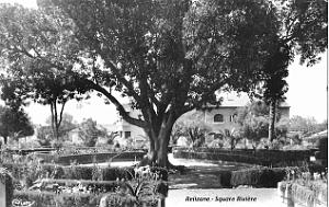 Relizane 151-Square Riviere